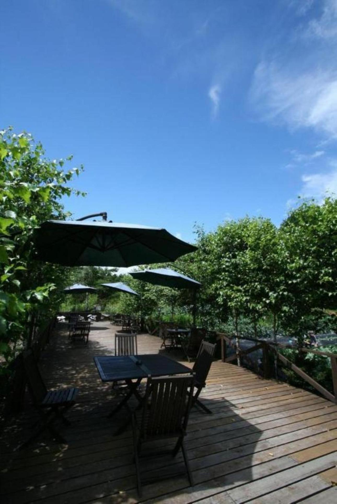 Tsutaya Tokinoyado Kazari Hotel Kiso Bagian luar foto